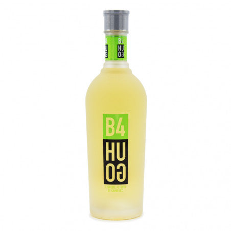LIQUORE AL SAMBUCO B4 HUGO