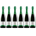6 BOTTIGLIE PIROVANO TERRE BENTIVOGLIO  METODO CLASSICO CHARDONNAY