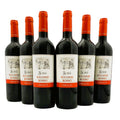 BOX  CERALTI SCIRE`BIO BOLGHERI