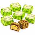 VENCHI  CHOCAVIAR PISTACCHIO