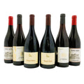 PROMO  PINOT NERO