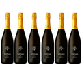 6 BOTTIGLIE PROSECCO  VAL D`OCA DOCG MILLESIMATO