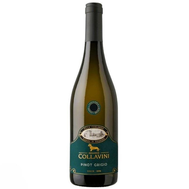COLLAVINI  CANLUNGO PINOT GRIGIO