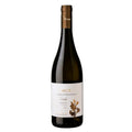 LEONARDO DA VINCI  STREDA VERMENTINO