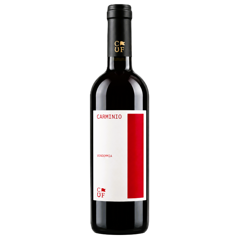 FATTORIA CARLO FILIPPO  CARMINIO ROSSO IGT BIO