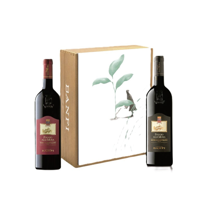 BANFI CASSETTA  SOSTENIBILITA`